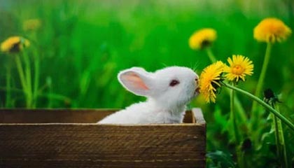 1388开奖网-足协评议：西海岸vs国安高迪踩踏侯森犯规，进球无效判罚正确